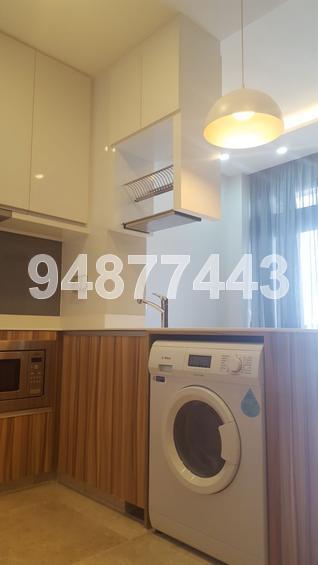 Eco Sanctuary (D23), Condominium #154577262